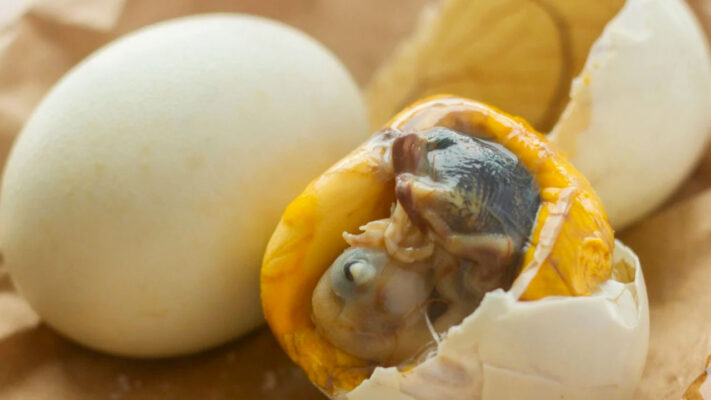 What is Balut