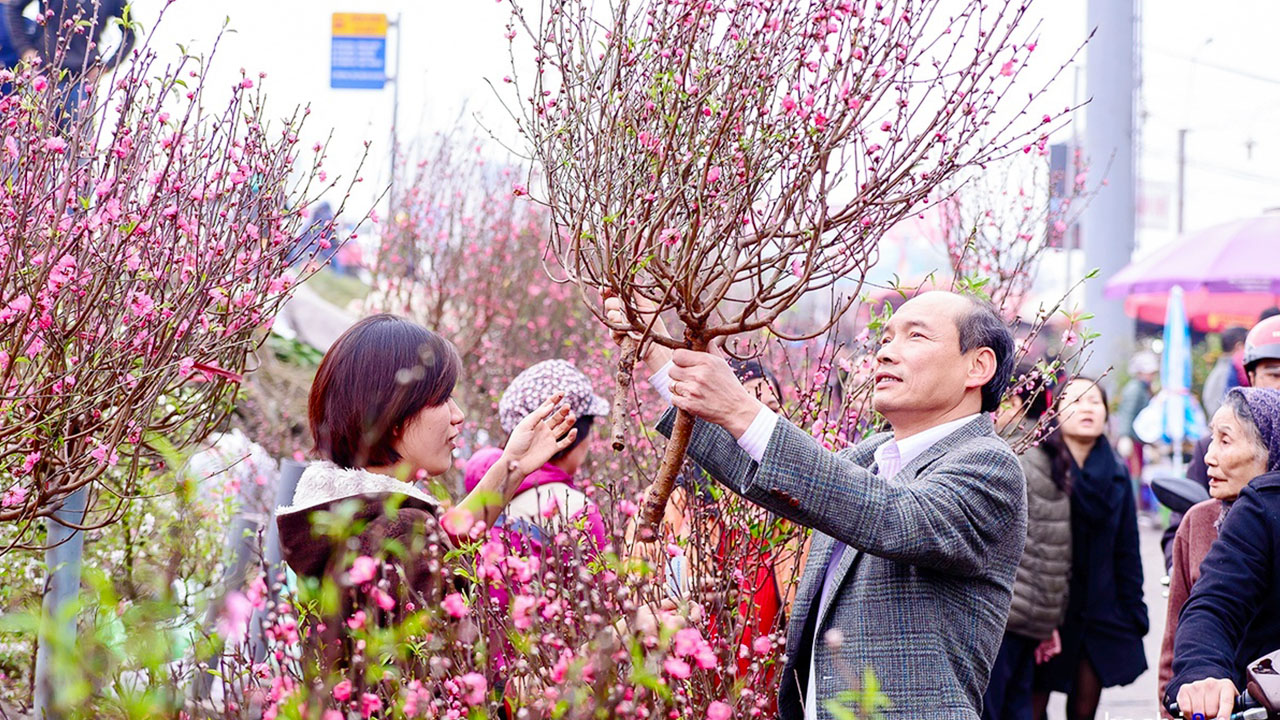 Hanoi Tet flower market