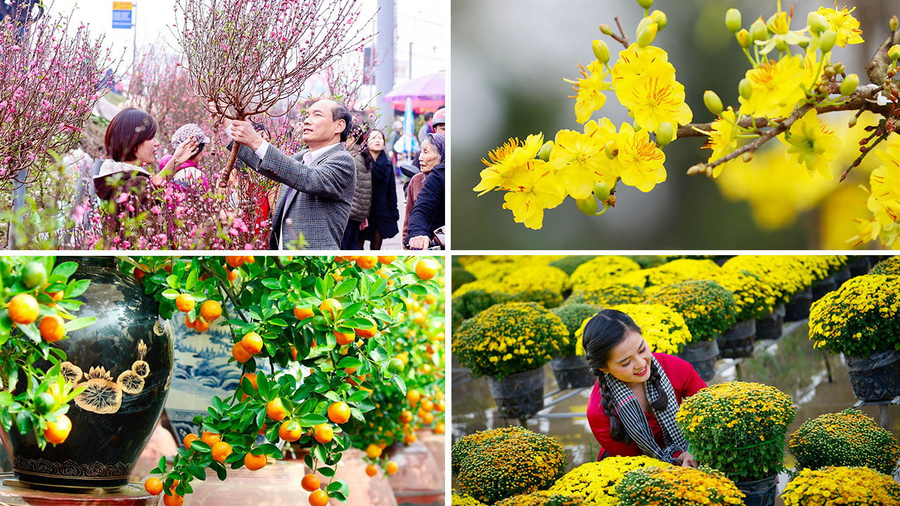 Tet flowers