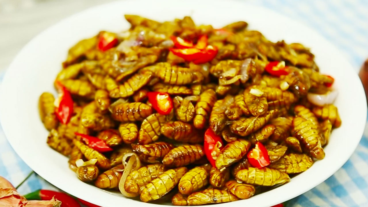 Silkworms