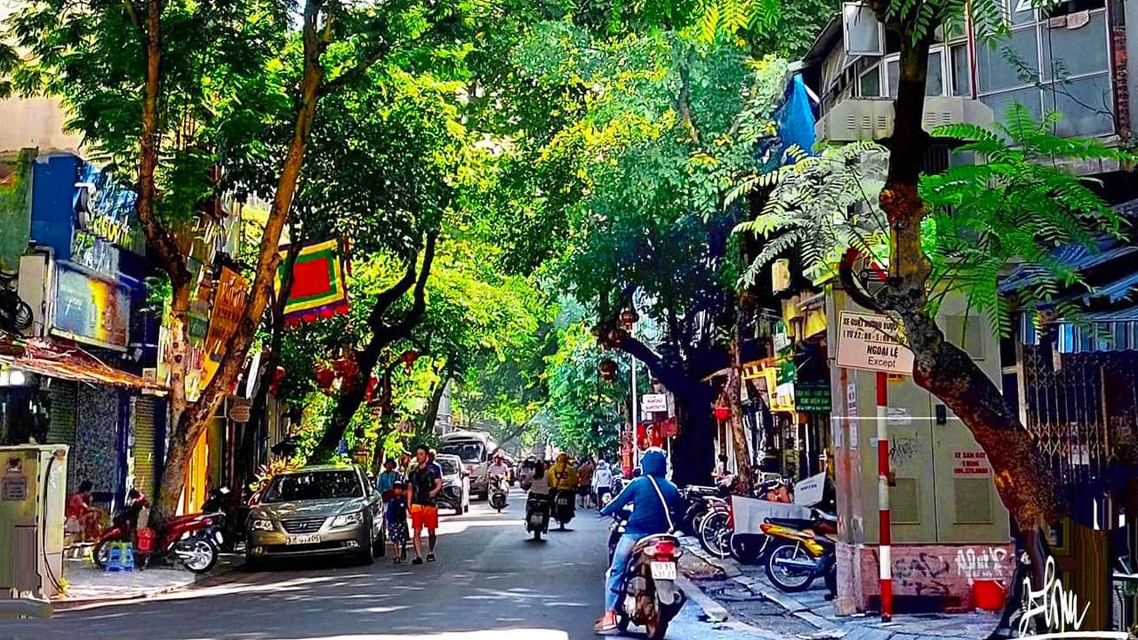 Shopping Experience on Hang Bo Street Hanoi