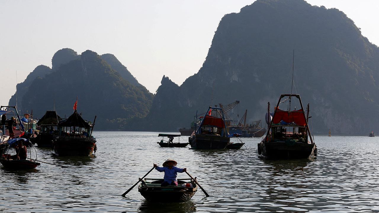 Environmental concerns and conservation ha long bay