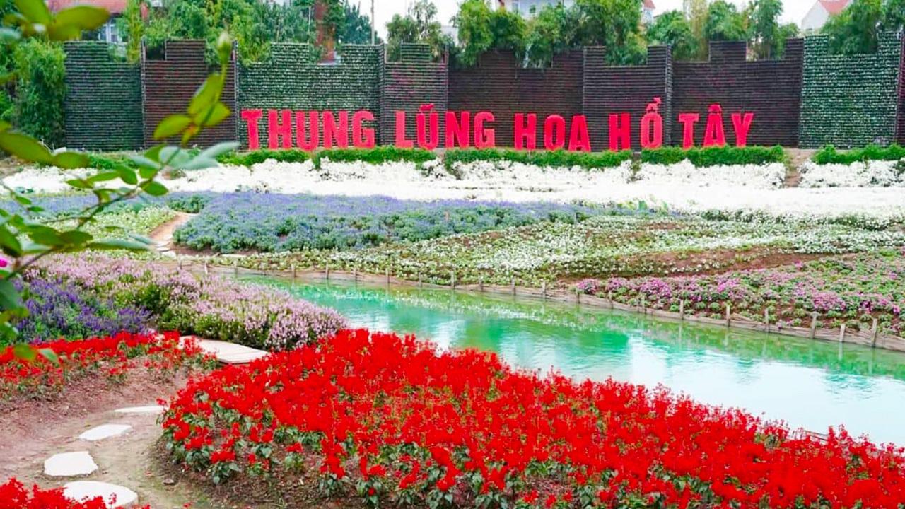 Thung lũng hoa Hồ Tây